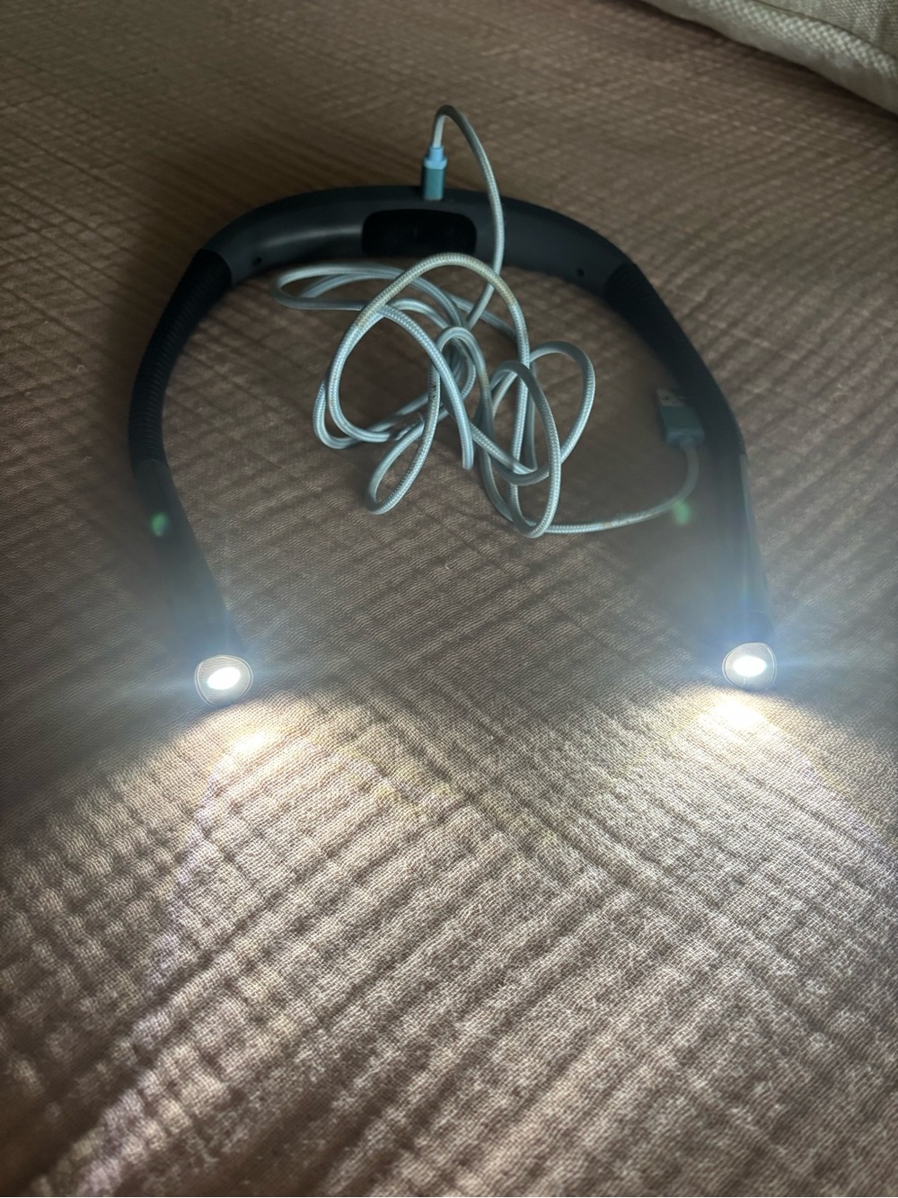 Reading neck light